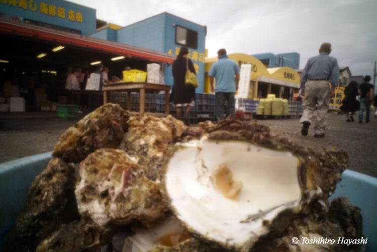 Nakaminato fish market #1